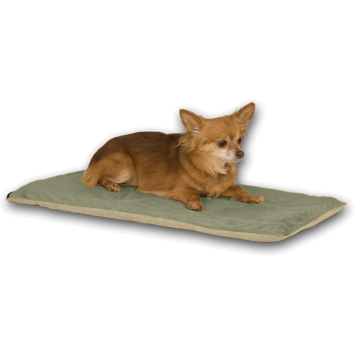 Pet Health Support Premium Small Daily Care Supply Premium - main product image