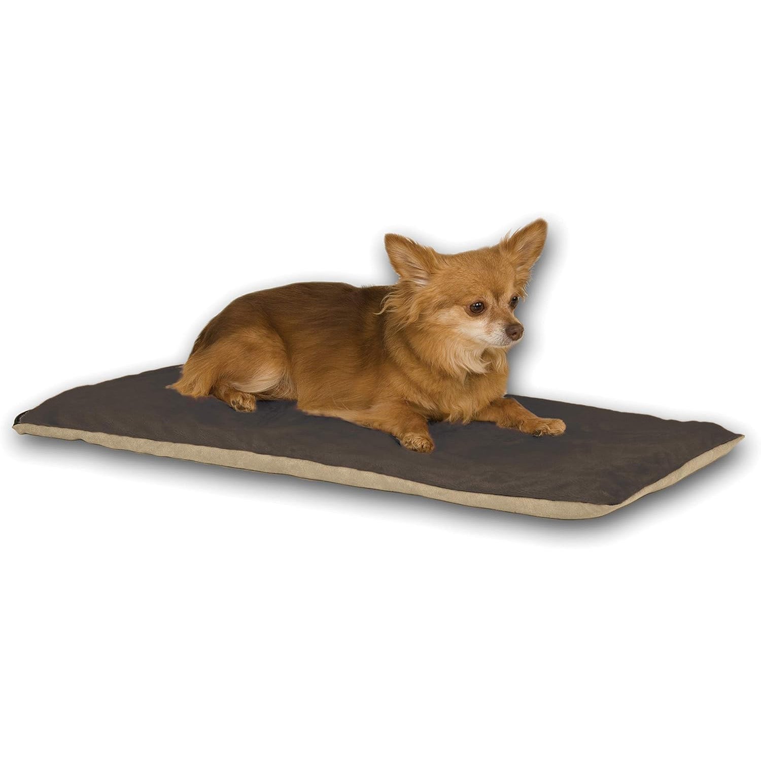 Pet Health Support Premium Small Daily Care Supply Premium - gallery image 9