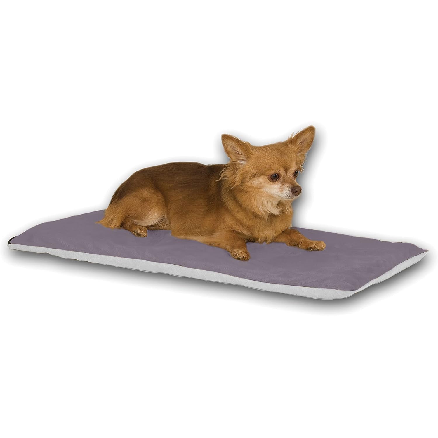 Pet Health Support Premium Small Daily Care Supply Premium - gallery image 8