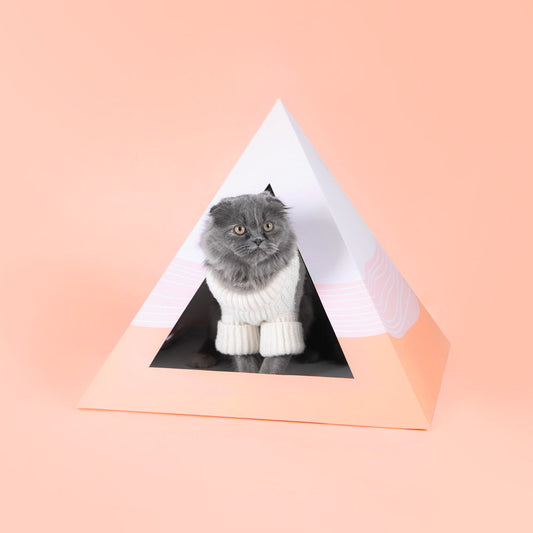 'Wavey' Cardboard Cat Pyramid - detail view