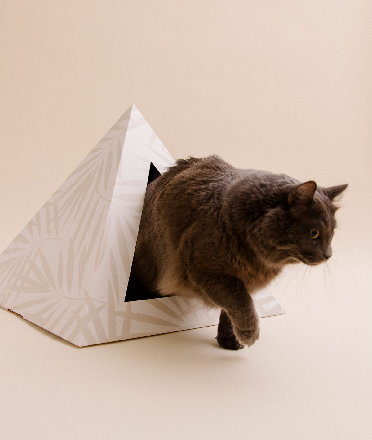 'Neutral Palm' Cardboard Cat Pyramid - detail view