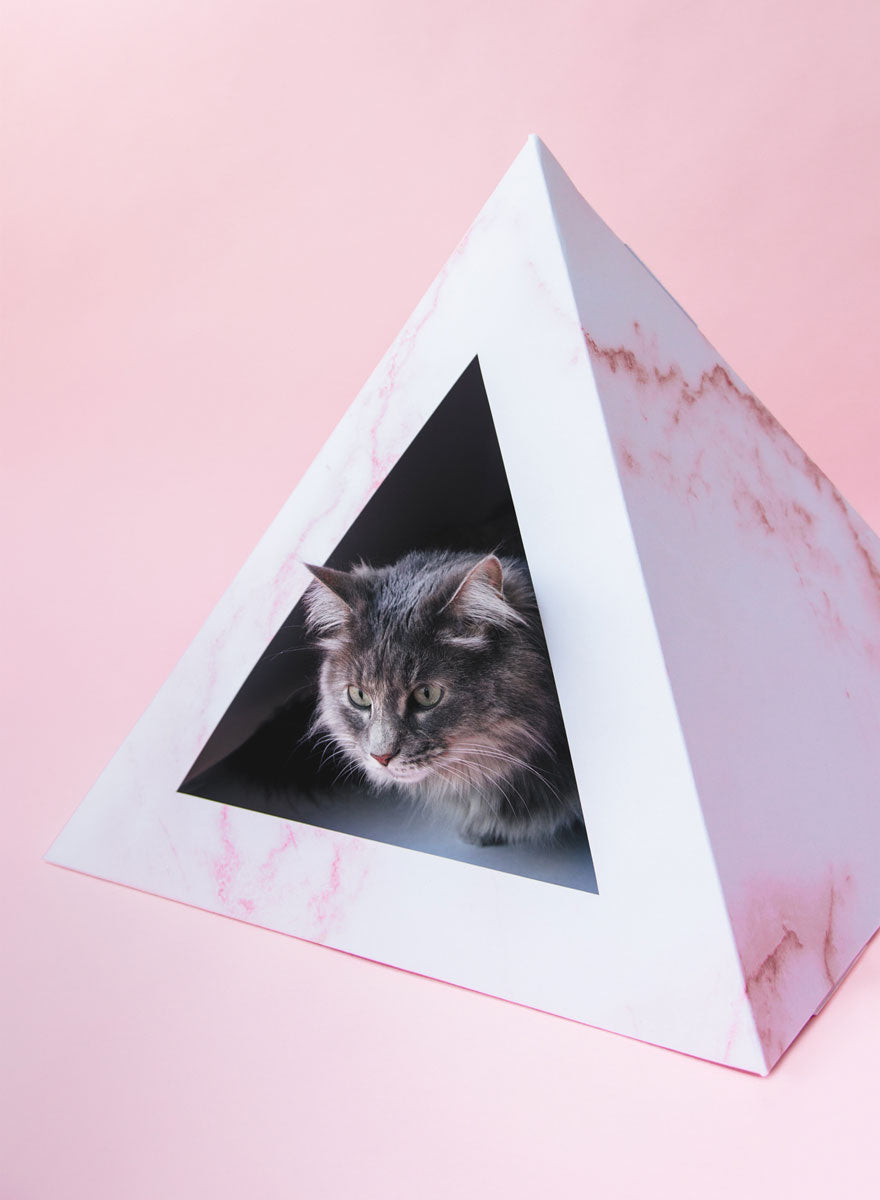 'Rose Quartz' Cardboard Cat Pyramid - lifestyle view