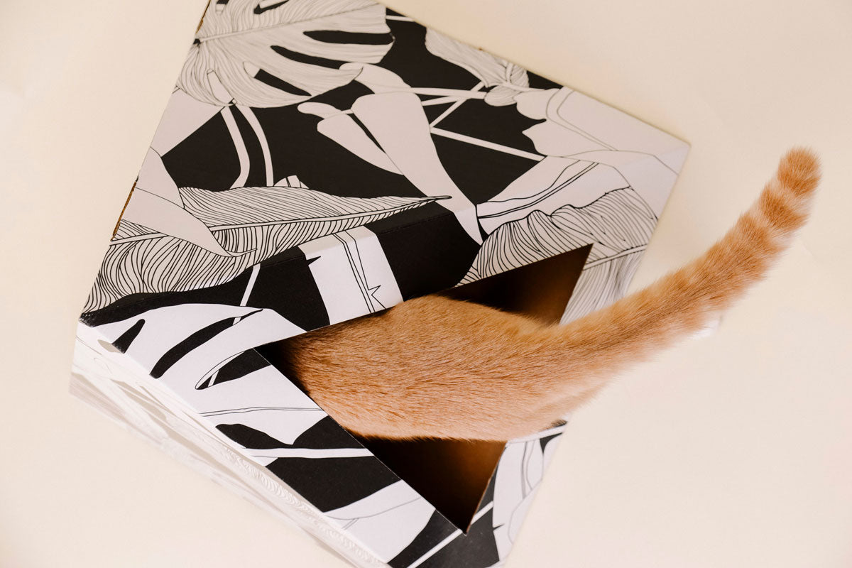 'Dark Paradise' Cardboard Cat Pyramid - gallery image 7