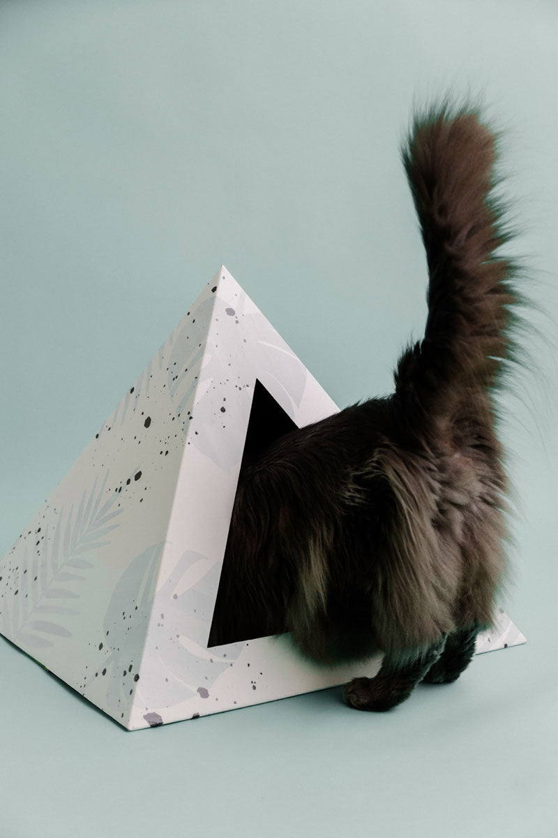 'Oasis' Cardboard Cat Pyramid - gallery image 5