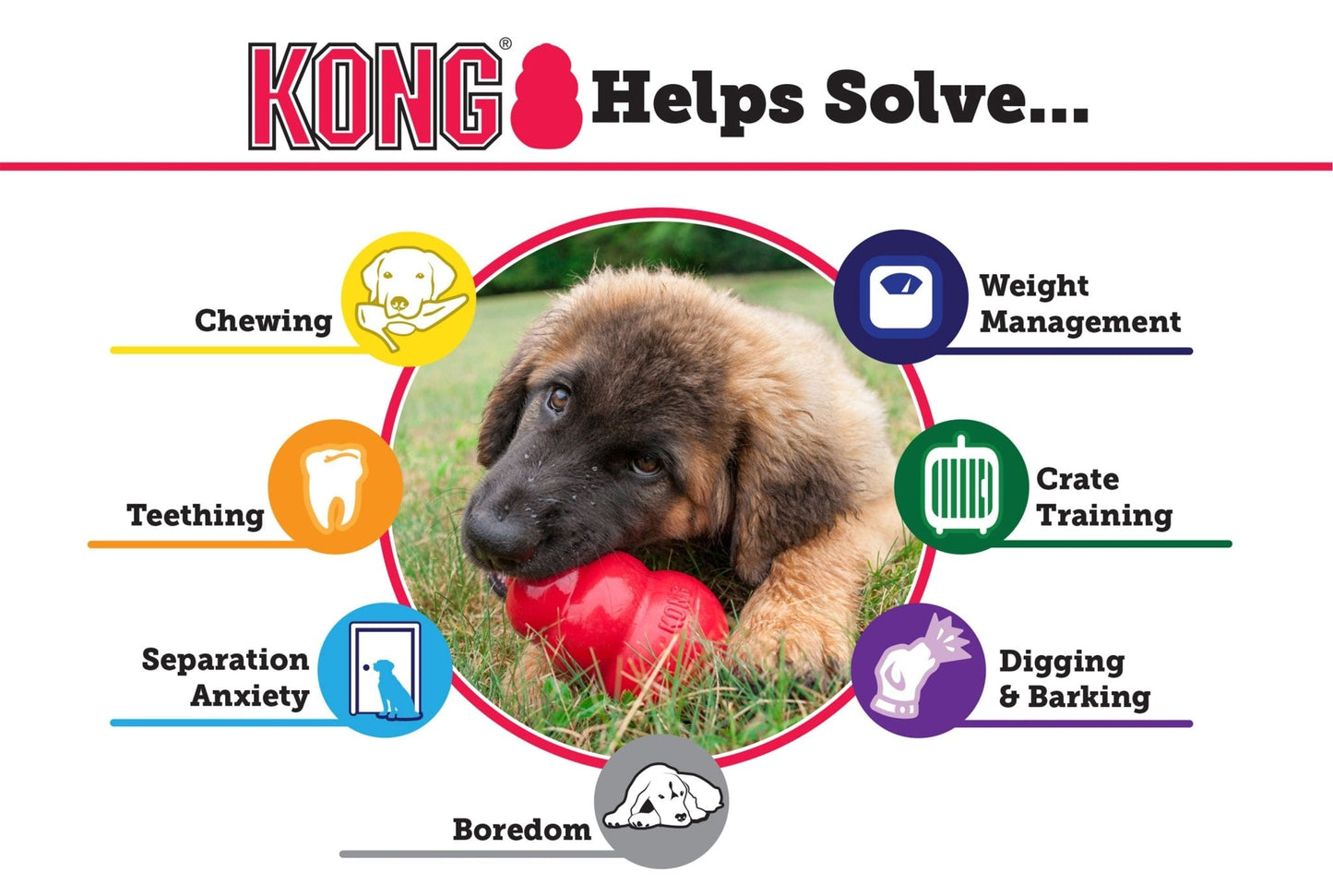 KONG Classic Dog Toy Durable Chew Dog Toy Durable Play - close up view