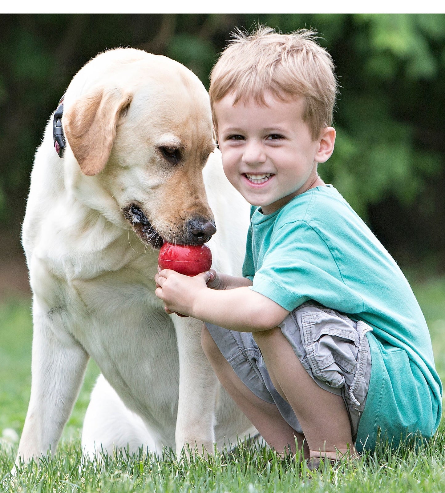 KONG Classic Dog Toy Durable Chew Dog Toy Durable Play - gallery image 6