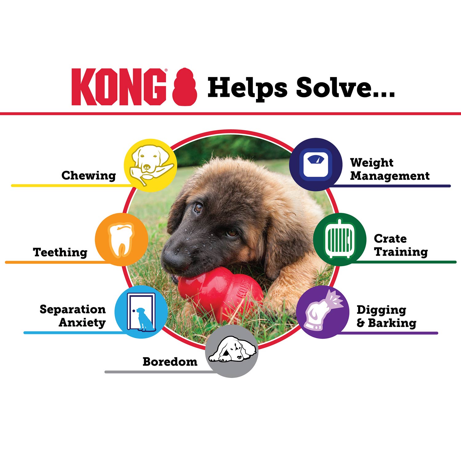 KONG Classic Dog Toy Durable Chew Dog Toy Durable Play - gallery image 13