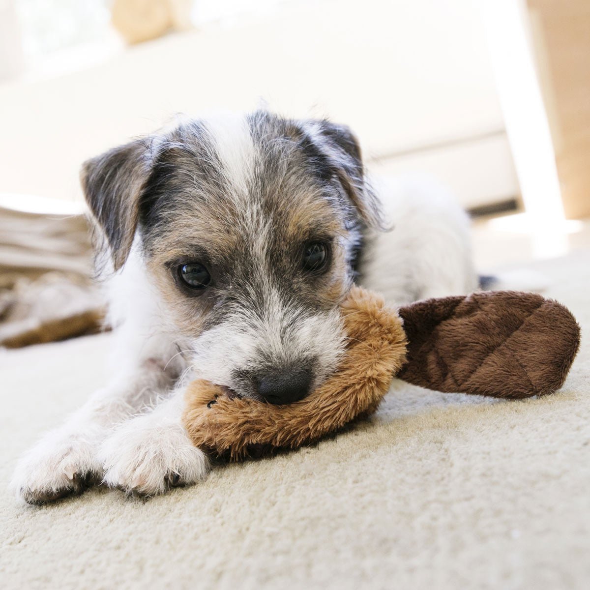 Dog Toy KONG Interactive Chew Play Small Durable Premium Pet