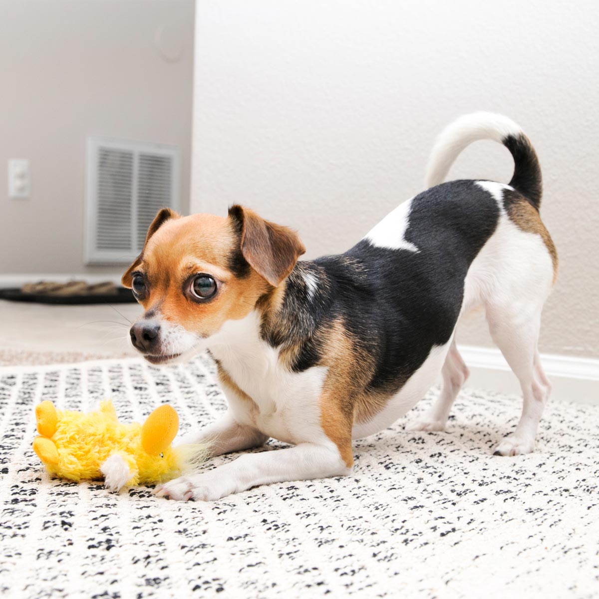 Dog Toy KONG Interactive Chew Play Small Durable Premium Pet - gallery image 8