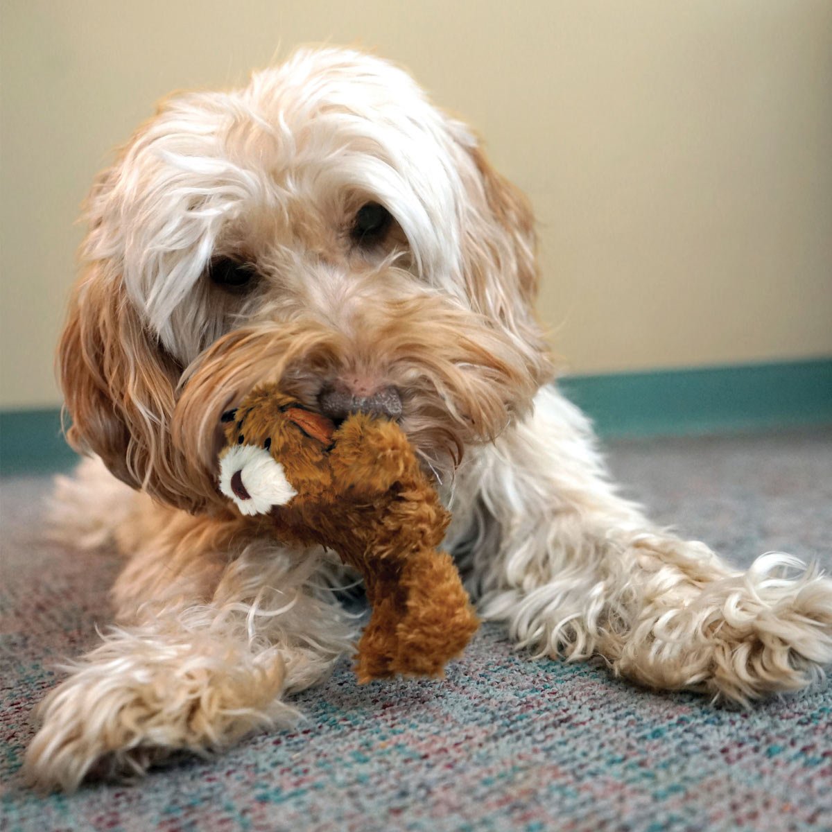 Dog Toy KONG Interactive Chew Play Small Durable Premium Pet