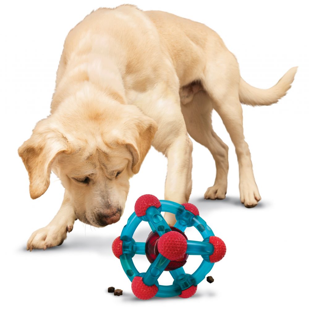KONG Rewards Tinker Treat Dispensing Dog Toy Treat Dog Toy - detail view
