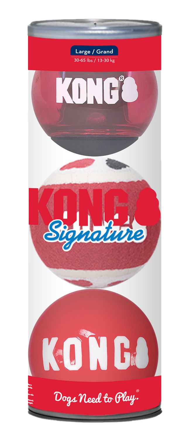 KONG Signature Fetch Dog Toy Balls Multi Pack Fetch Dog Toy - gallery image 11