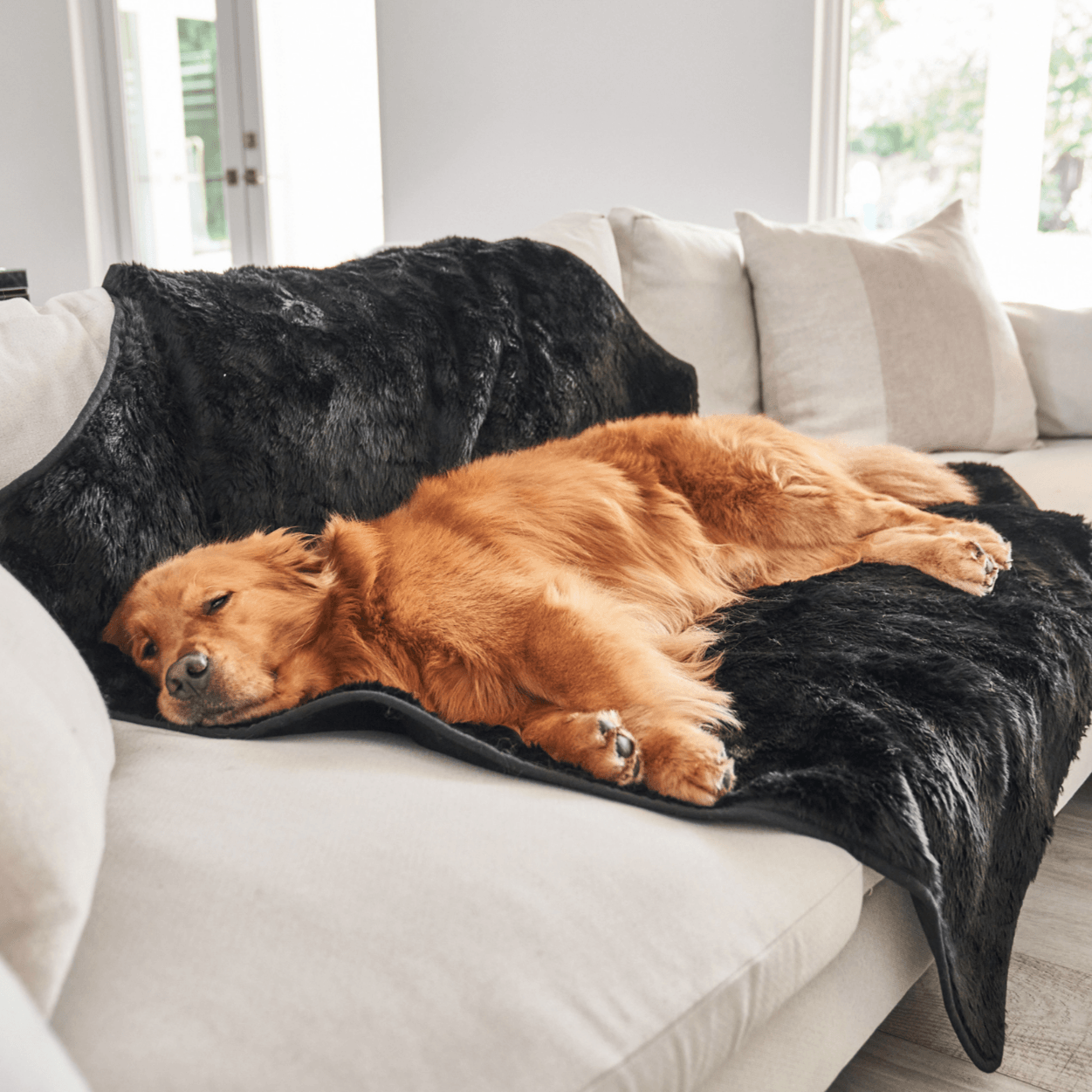 Waterproof Pet Blanket Soft Throw Midnight Black Washable - main product image