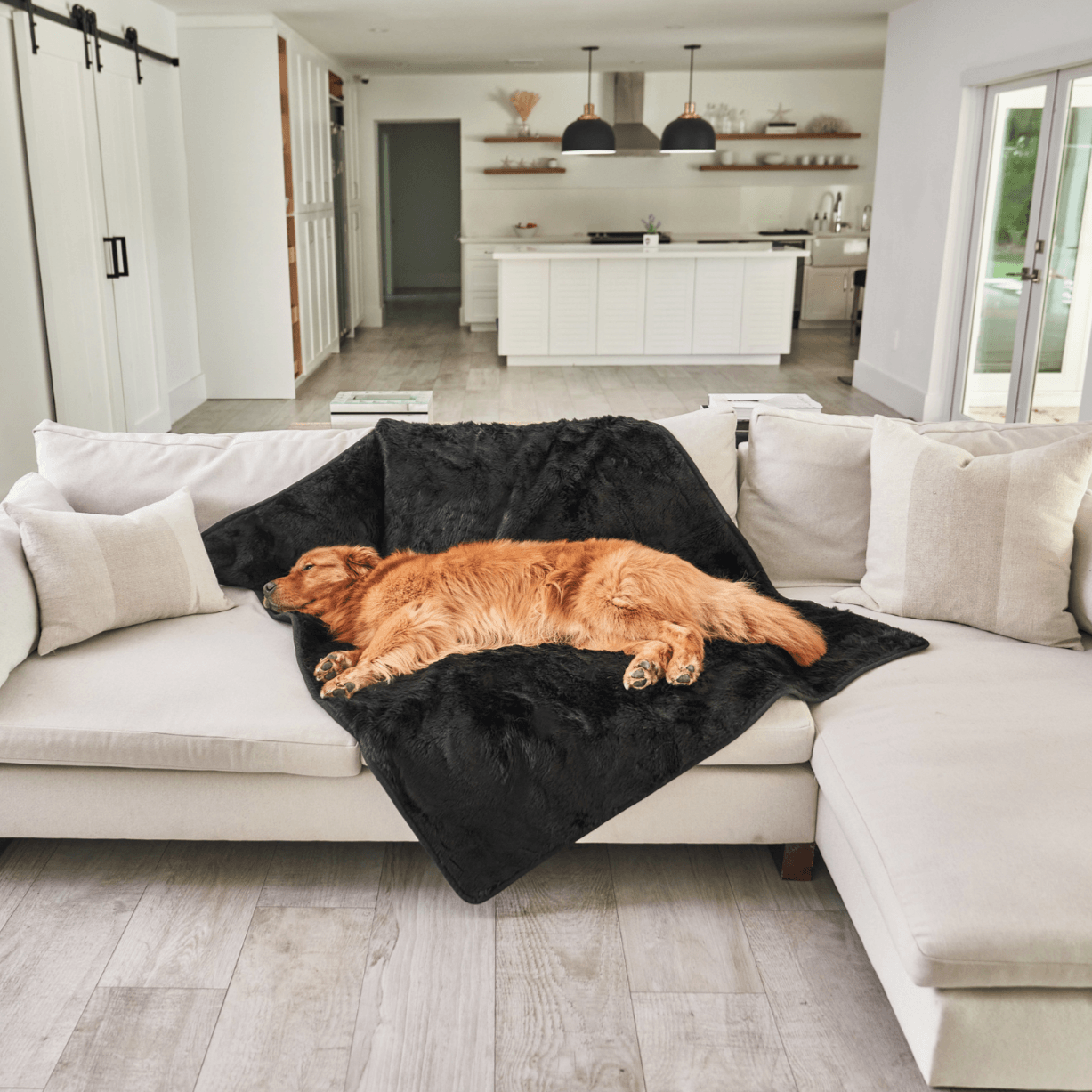 Waterproof Pet Blanket Soft Throw Midnight Black Washable - gallery image 9