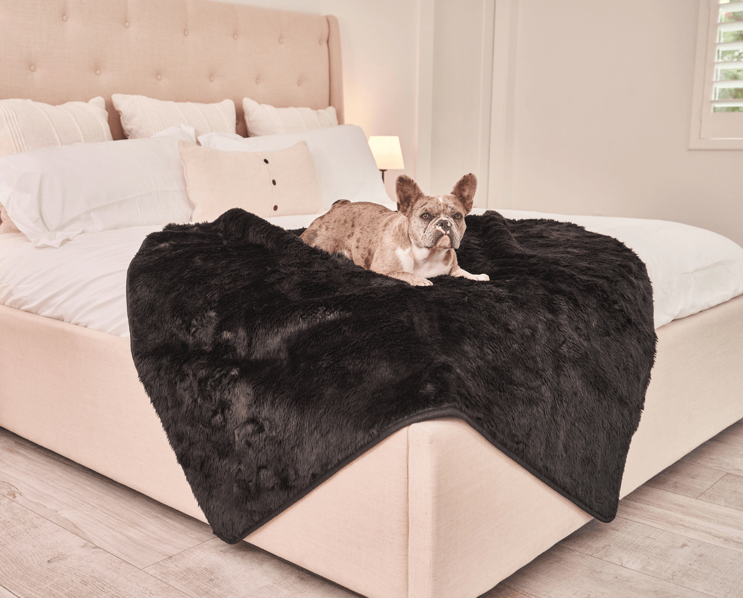 Waterproof Pet Blanket Soft Throw Midnight Black Washable - close up view