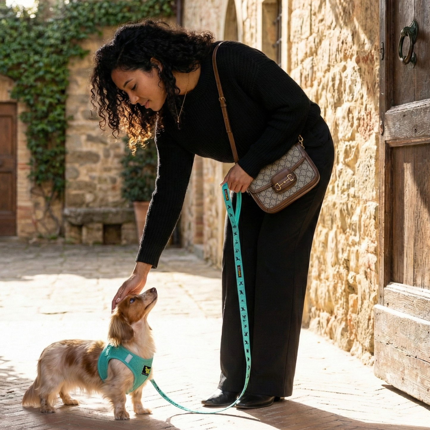 Dog Leash EcoBark Mint Turquoise Leash Comfort Grip Padded - gallery product image for dog leash