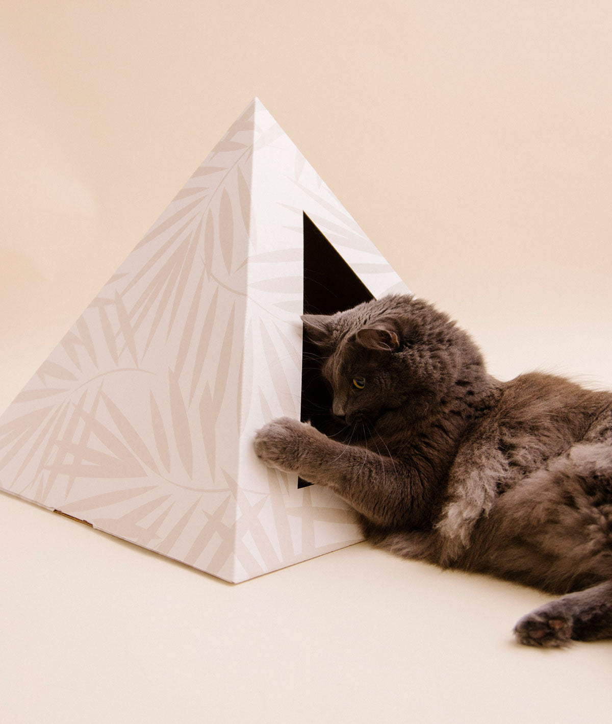 'Neutral Palm' Cardboard Cat Pyramid - close up view
