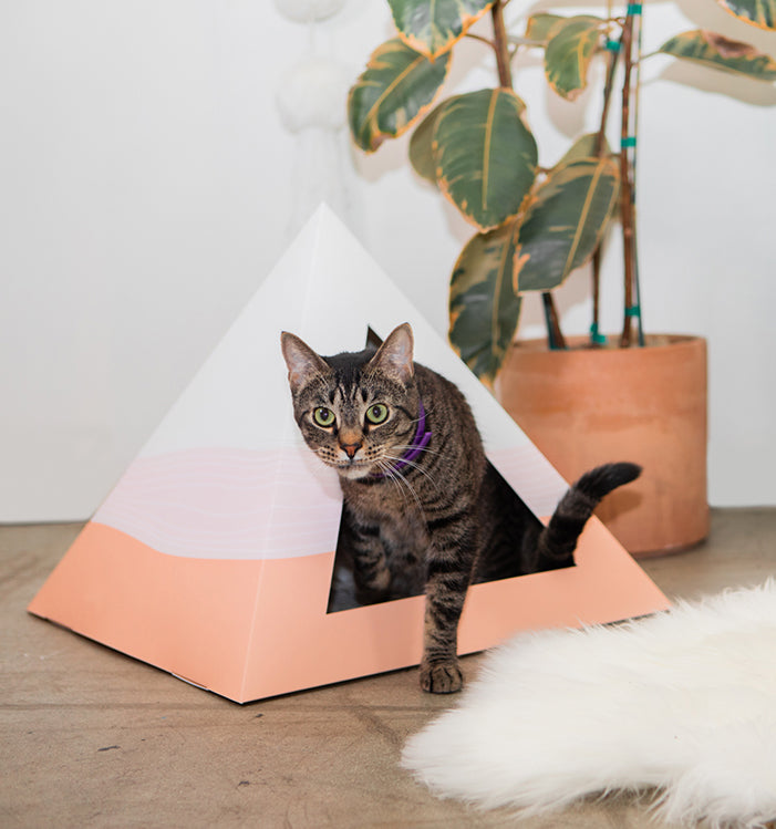 'Wavey' Cardboard Cat Pyramid - main product image