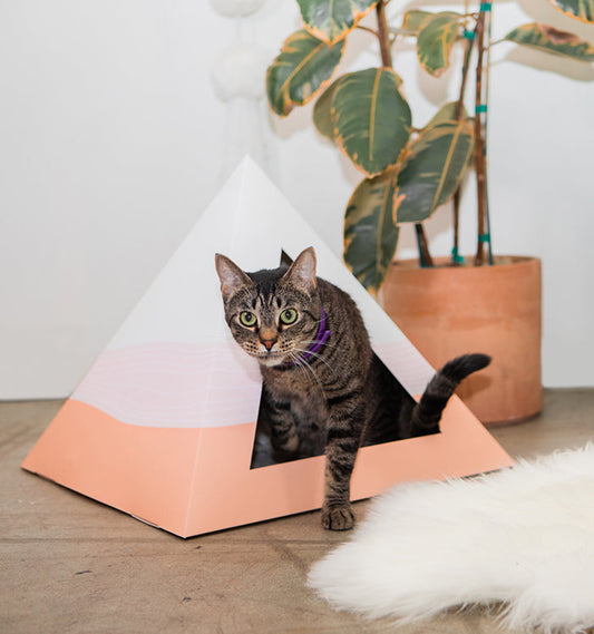 'Wavey' Cardboard Cat Pyramid - main product image