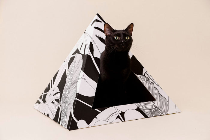 'Dark Paradise' Cardboard Cat Pyramid - main product image