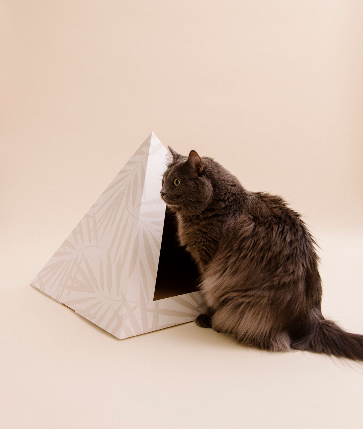 'Neutral Palm' Cardboard Cat Pyramid - gallery image 7
