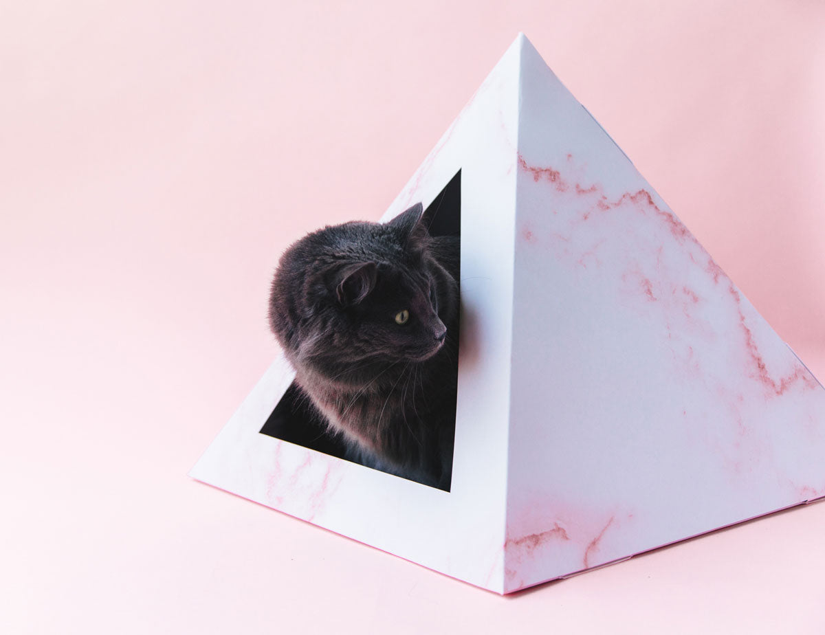 'Rose Quartz' Cardboard Cat Pyramid - close up view