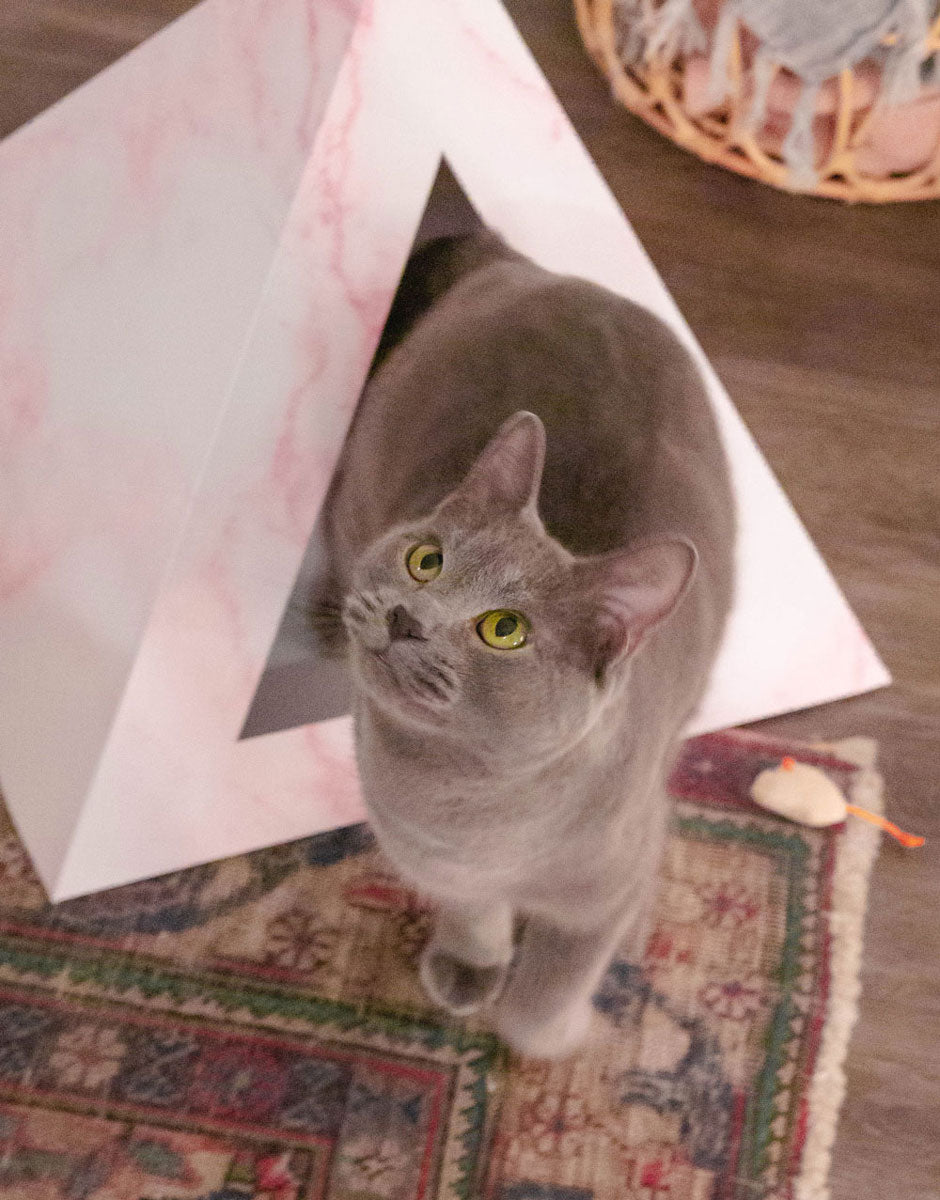 'Rose Quartz' Cardboard Cat Pyramid - gallery image 5
