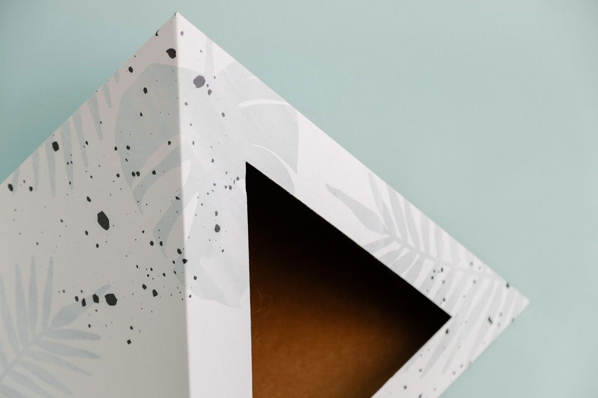 'Oasis' Cardboard Cat Pyramid - gallery image 6