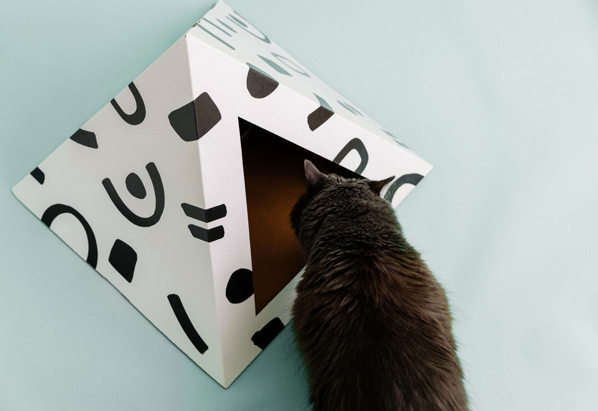 'Doodle' Cardboard Cat Pyramid - close up view