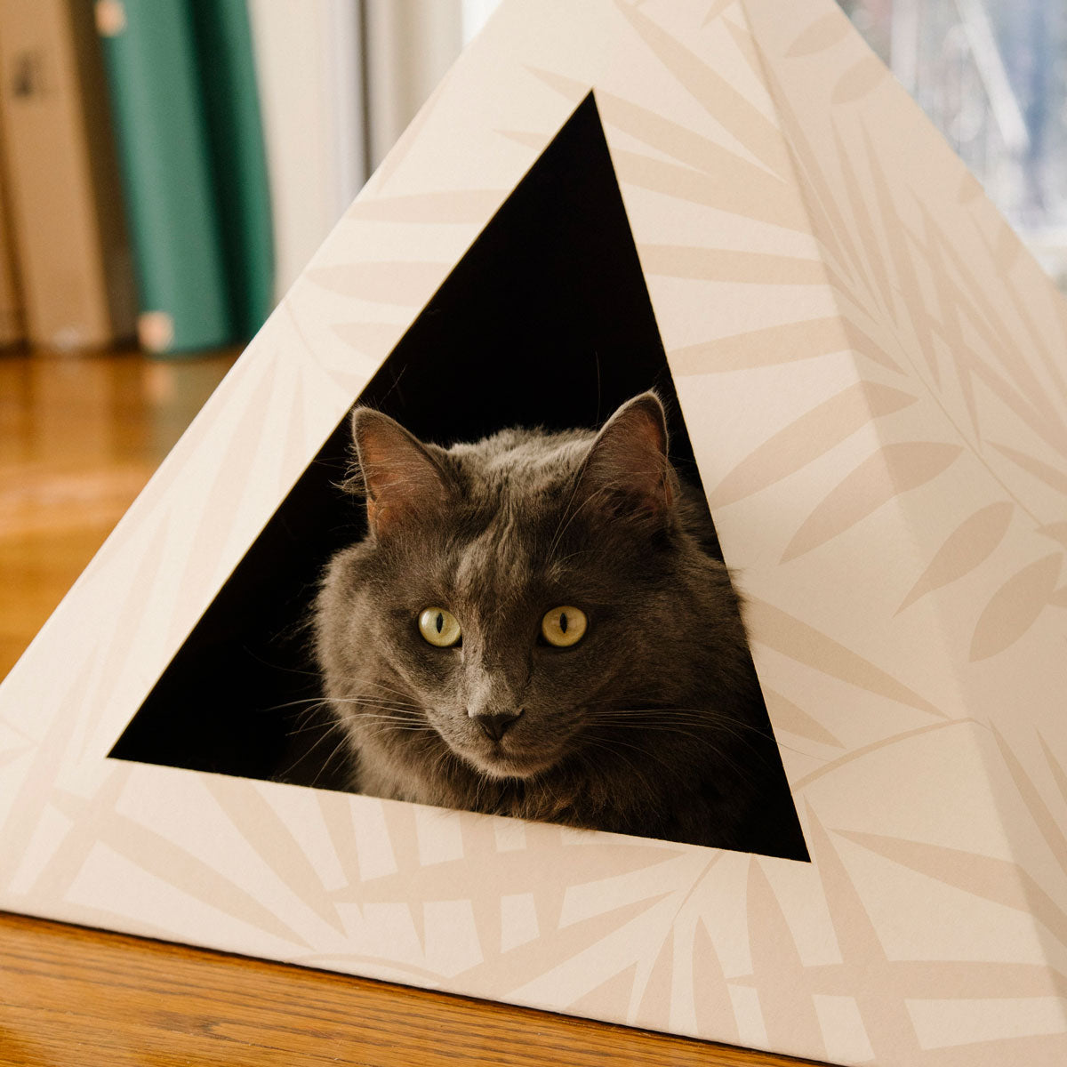 'Neutral Palm' Cardboard Cat Pyramid - lifestyle view