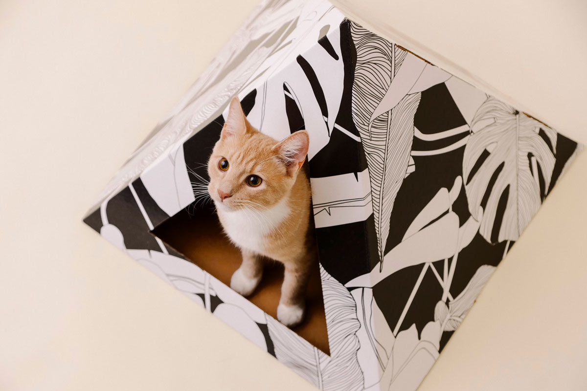 'Dark Paradise' Cardboard Cat Pyramid - gallery image 6