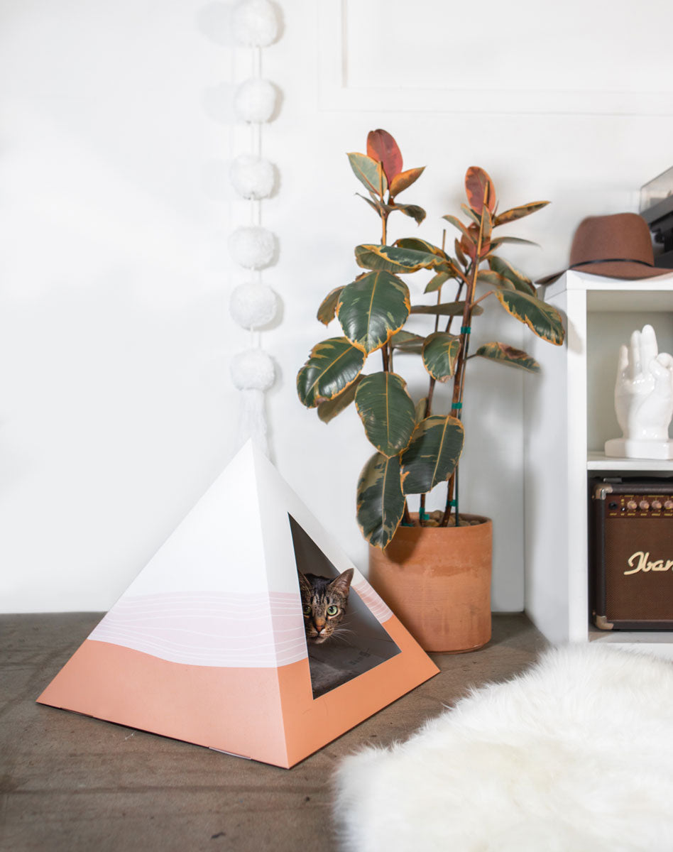 'Wavey' Cardboard Cat Pyramid - lifestyle view