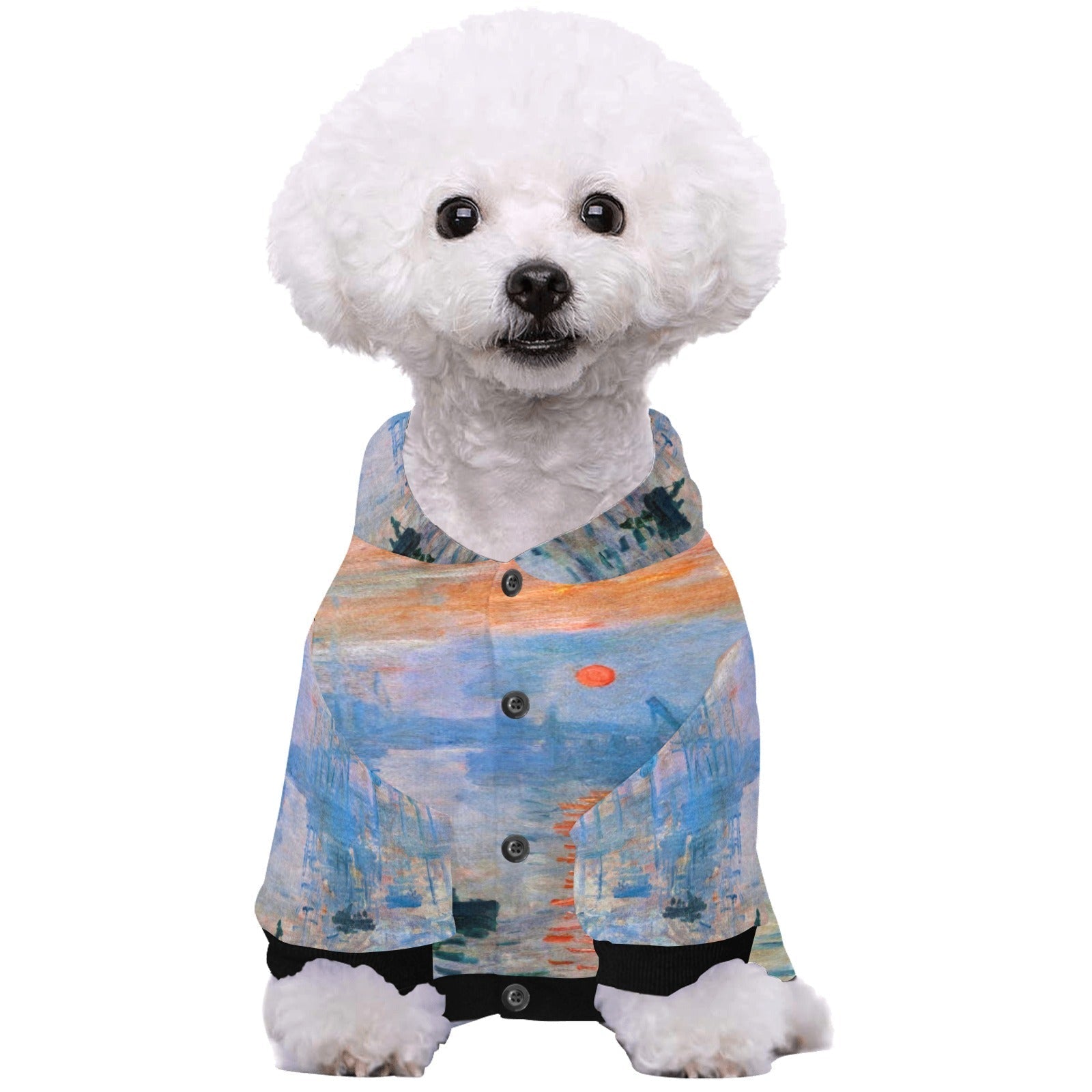 Pet Apparel Monet Impression Sunrise Button Hoodie l main product image for dogs and cats