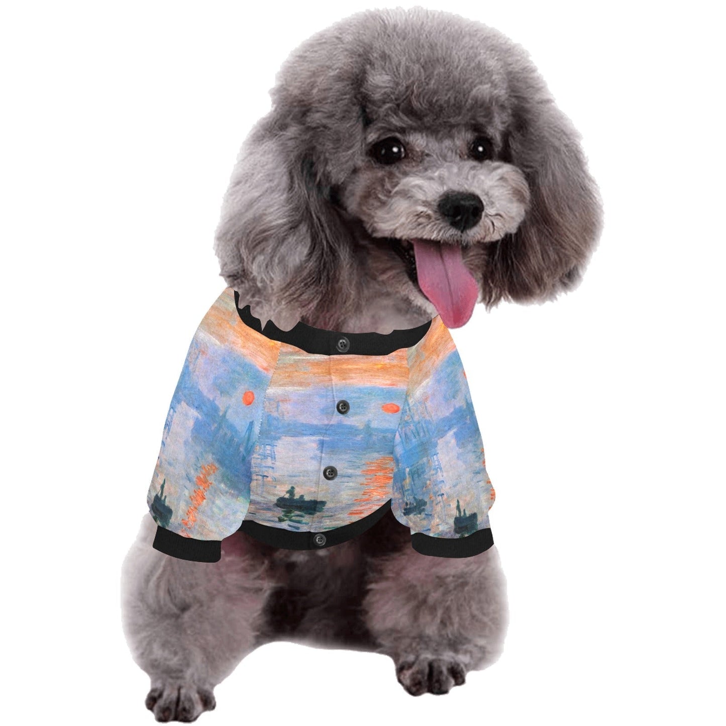 Pet Apparel Monet Impression Sunrise Round Neck Shirt t main product image for dogs and cats