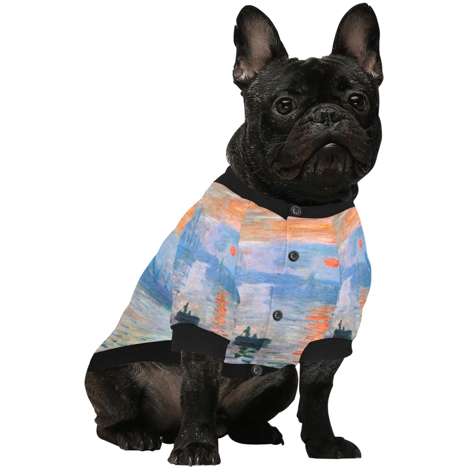 Pet Apparel Monet Impression Sunrise Round Neck Shirt t main product image for dogs and cats