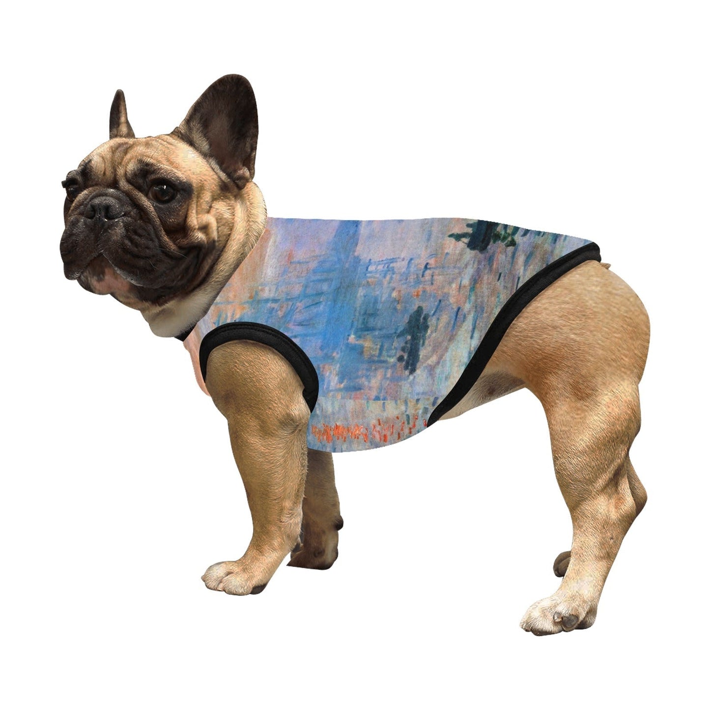 Pet Supply Monet Impression Sunrise Tank Top for Daily Use main product image for dogs and cats