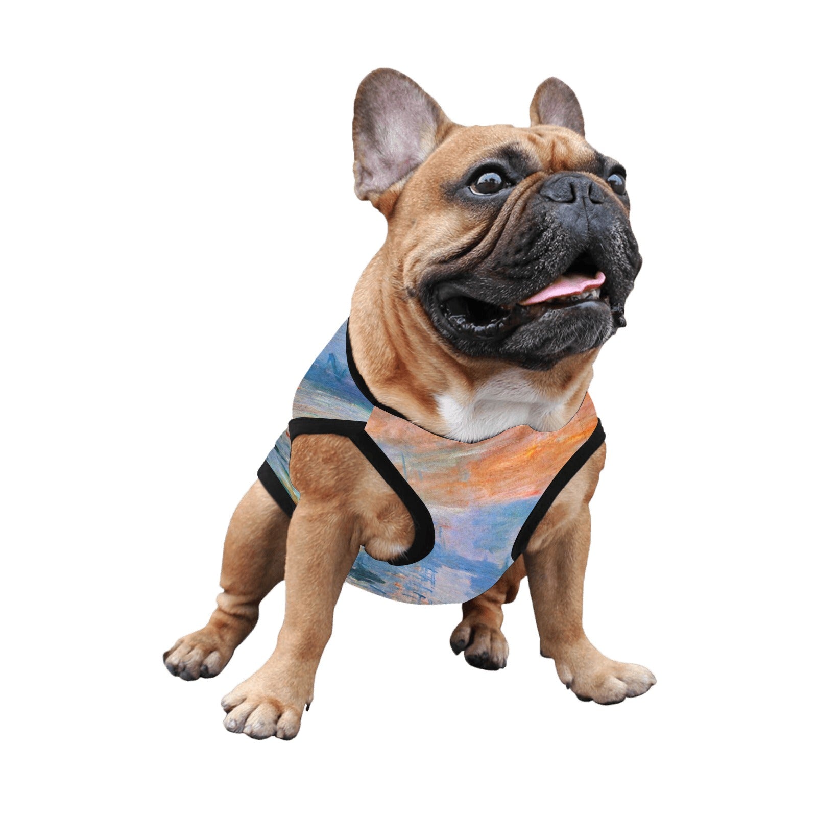 Pet Supply Monet Impression Sunrise Tank Top for Daily Use main product image for dogs and cats