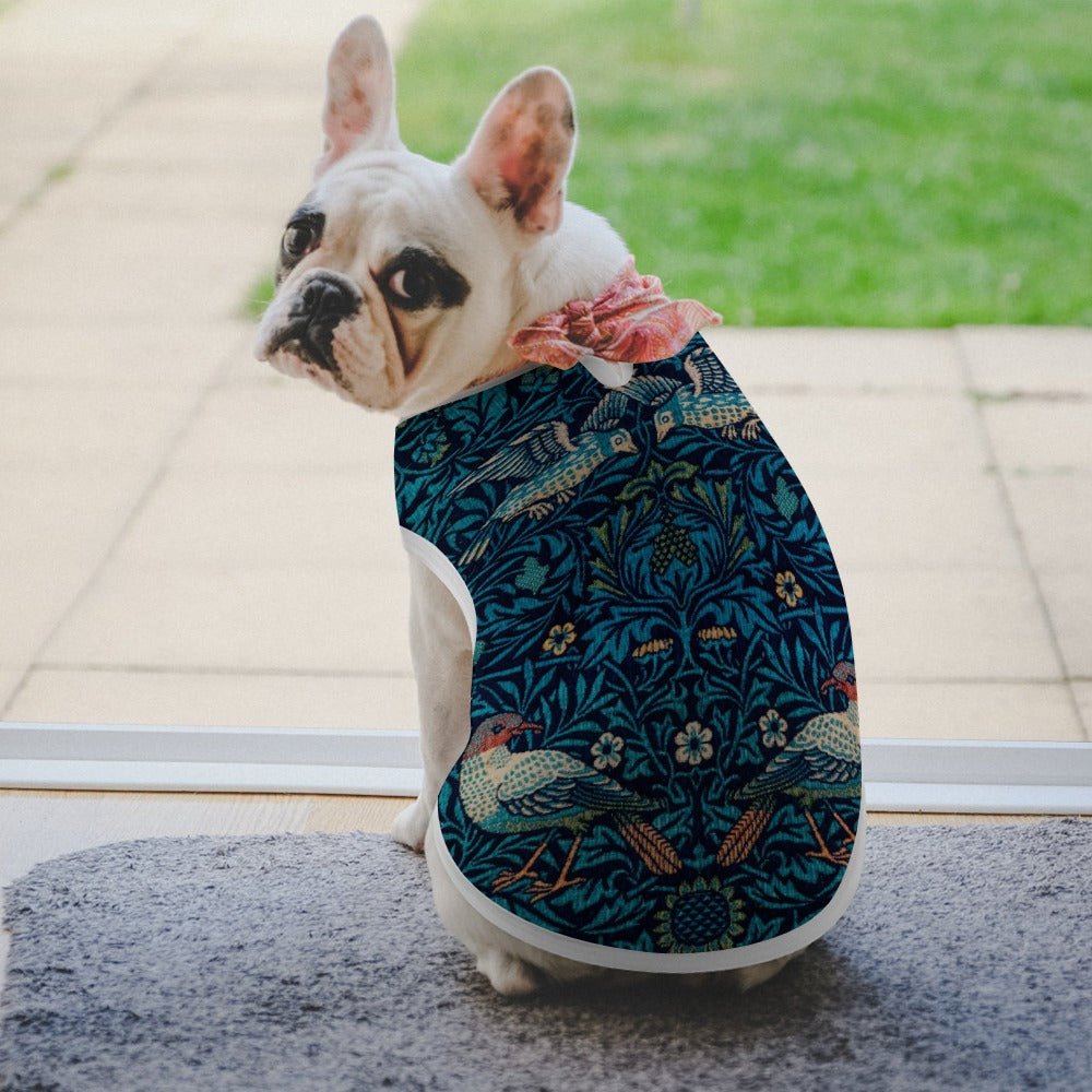 Pet Supply Morris Bird Vest for Daily Use for Comfort t main product image for dogs and cats