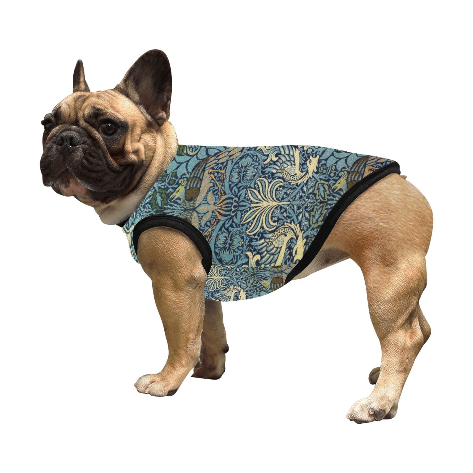 Pet Supply Morris Peacock and Dragon Tank Top for Daily Use main product image for dogs and cats