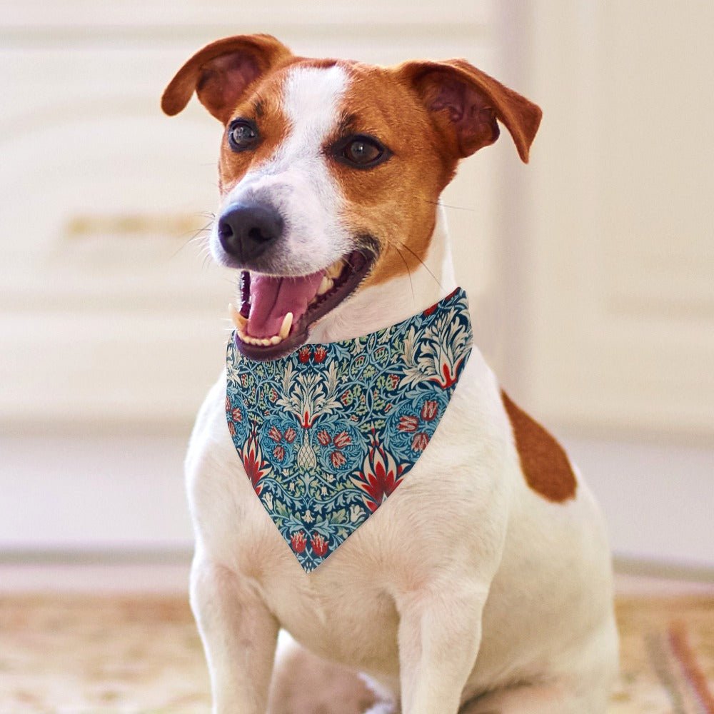 Pet Supply Morris Snakeshead Scarf for Daily Use for Comfort main product image for dogs and cats