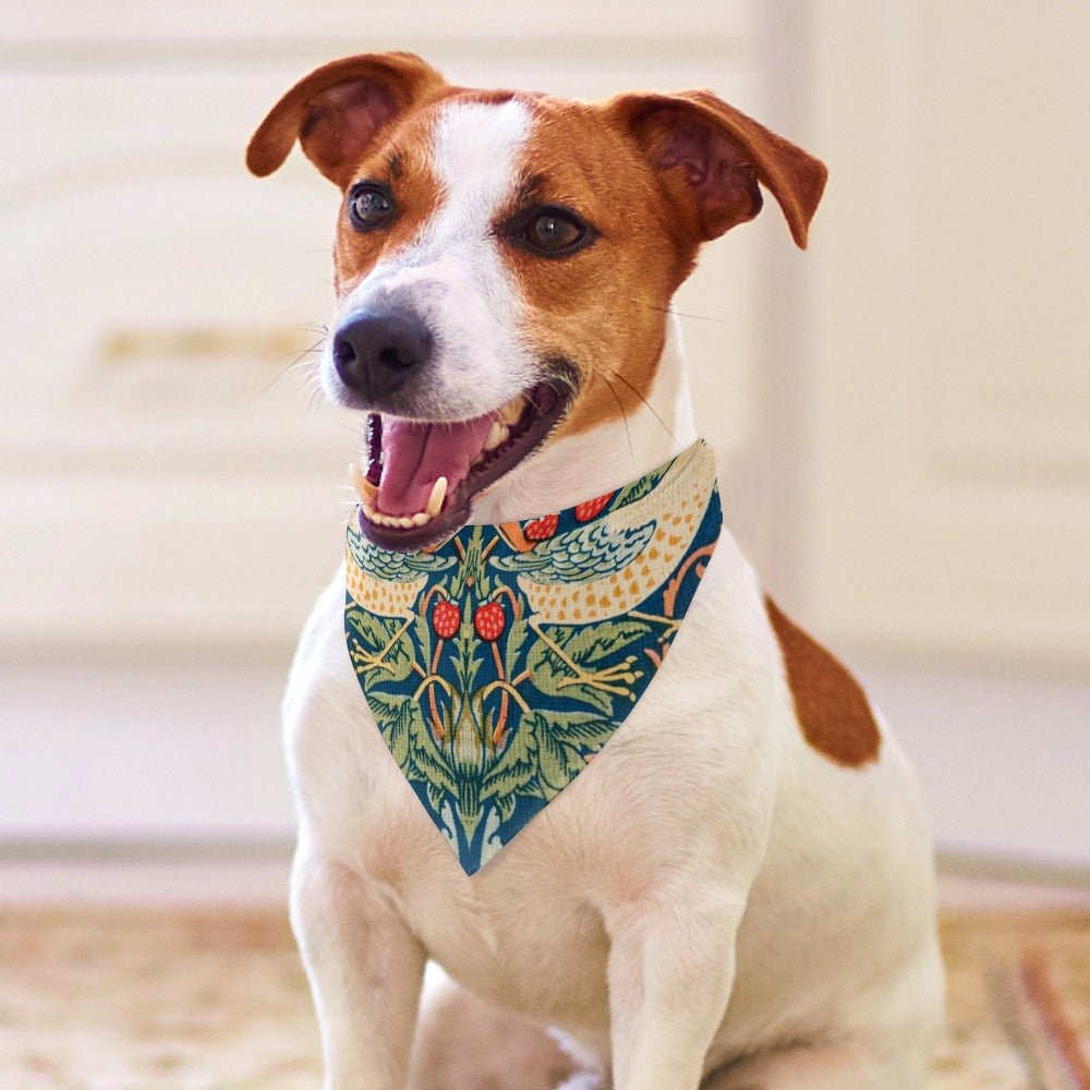 Pet Supply Morris Strawberry Thief Scarf for Daily Use main product image for dogs and cats