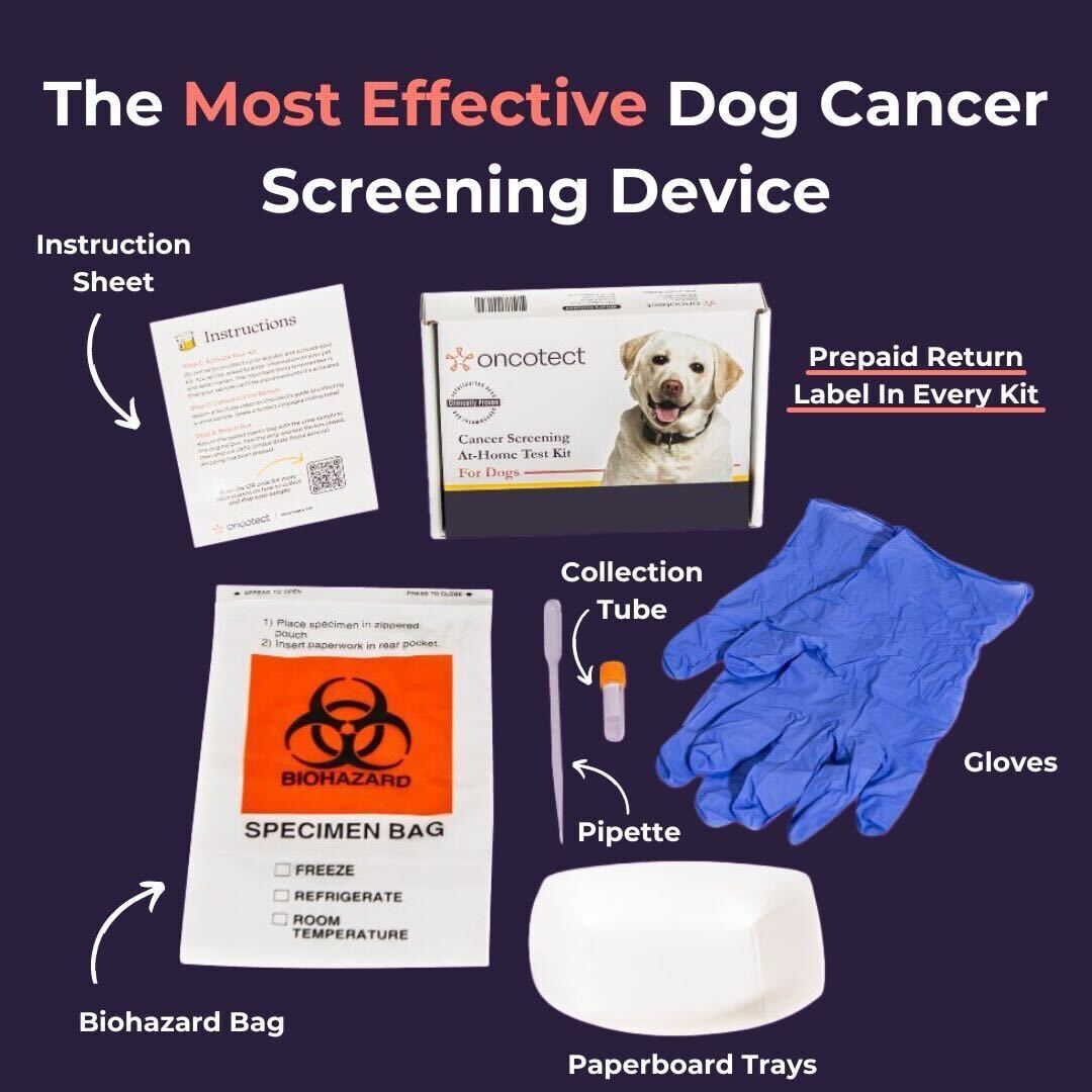 Oncotect Essential At-Home Dog Cancer Screening Test Kit - lifestyle view