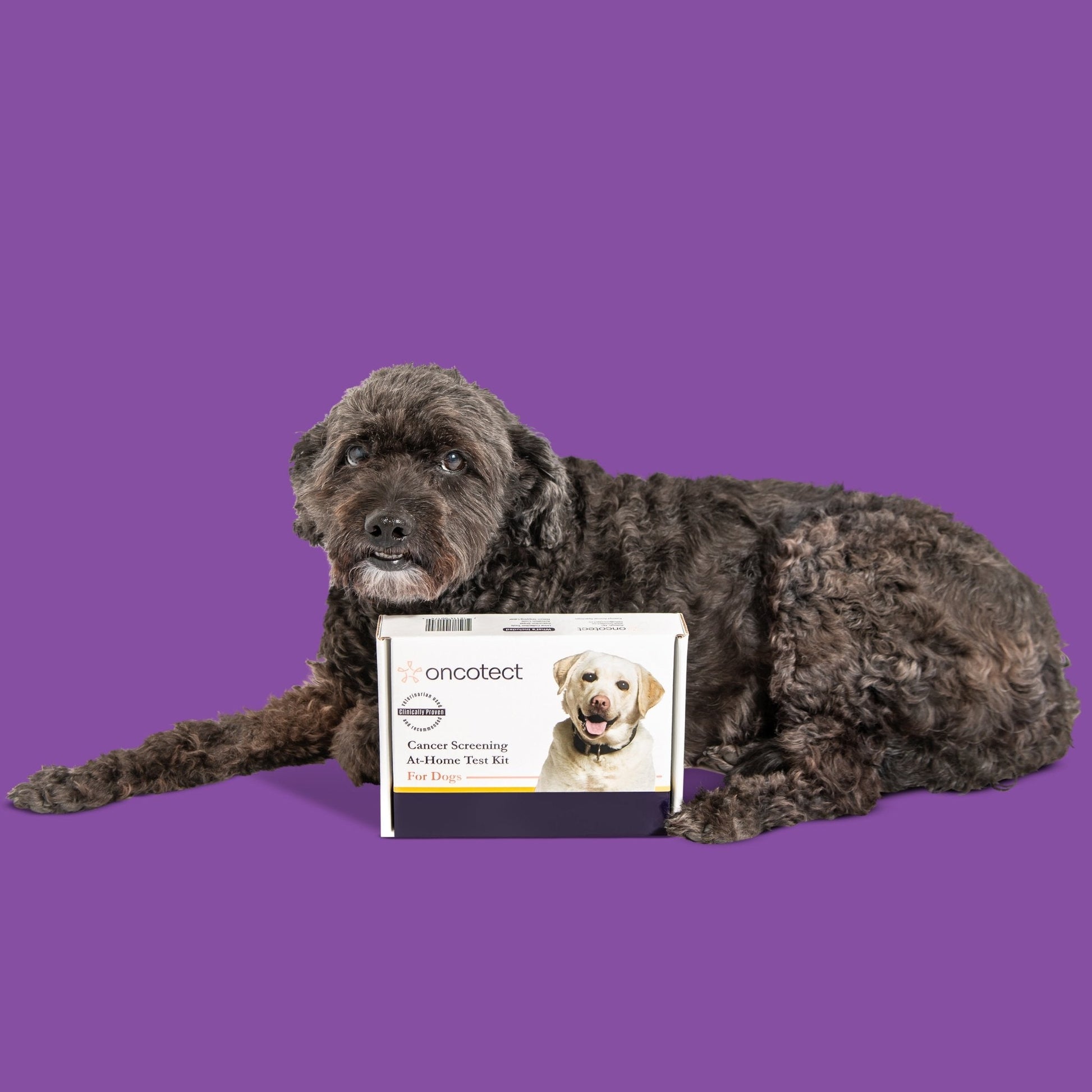 Oncotect Essential At-Home Dog Cancer Screening Test Kit - gallery image 7