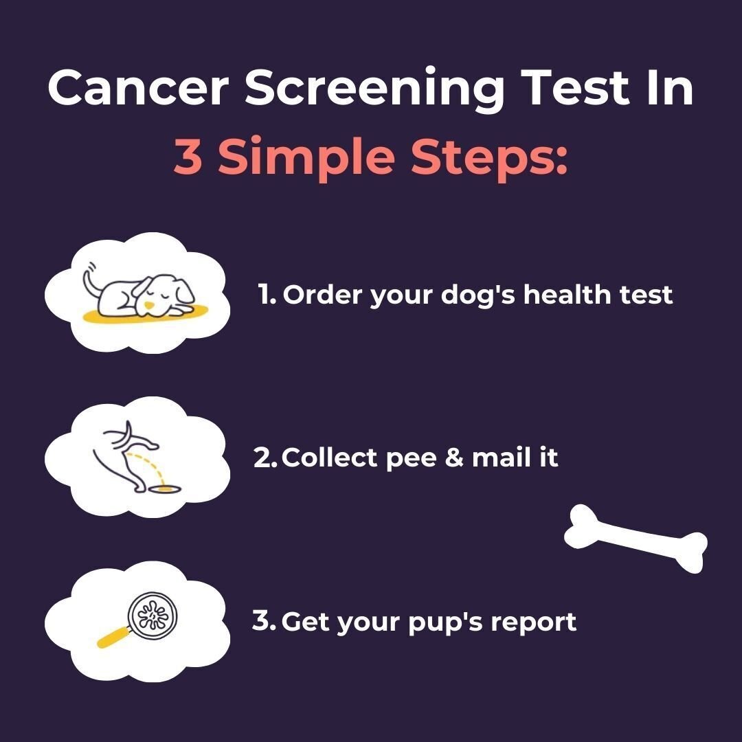 Oncotect Essential At-Home Dog Cancer Screening Test Kit - detail view