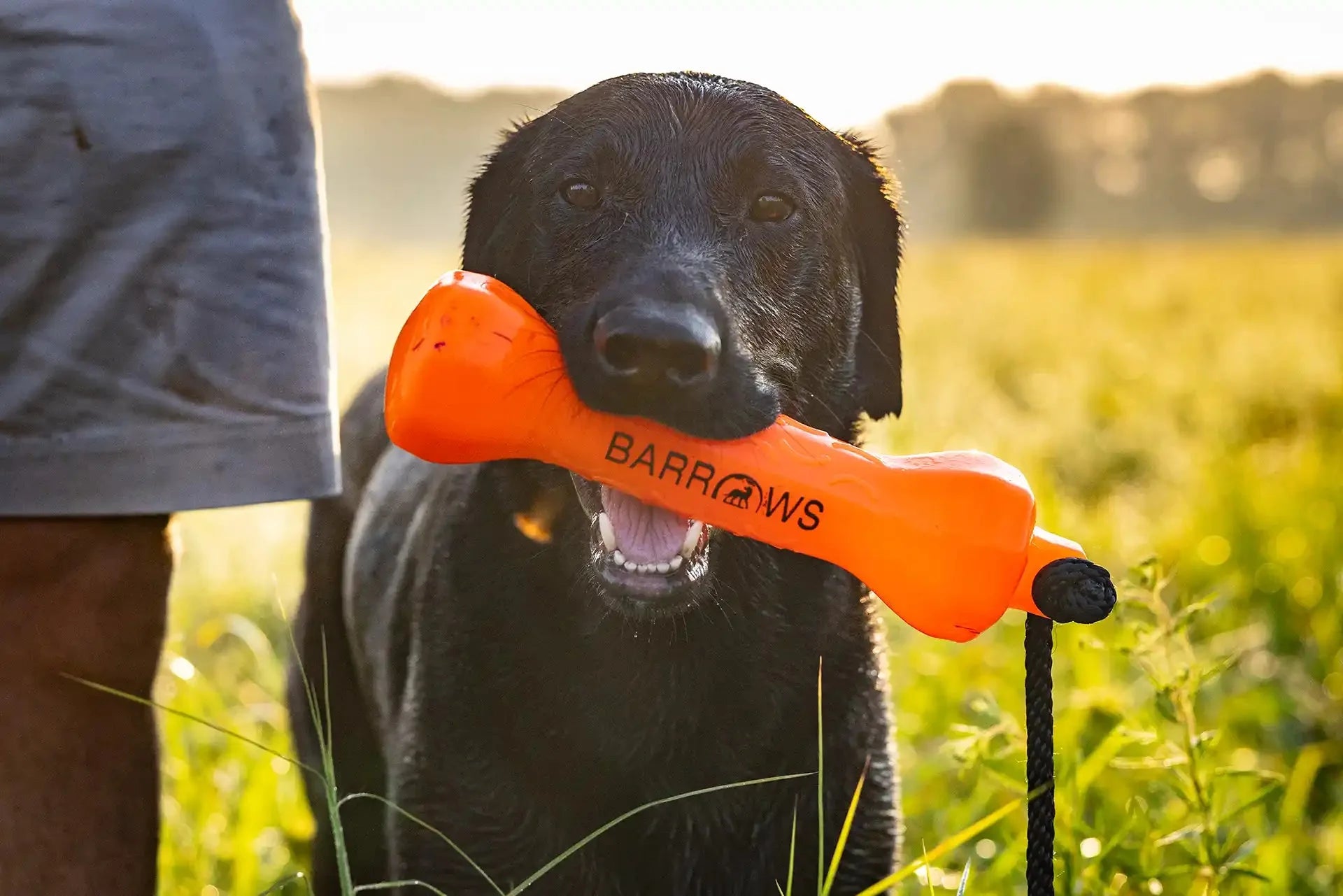 Orange Dog Training Bumper Dummy for Outdoor Practice main product image for dogs