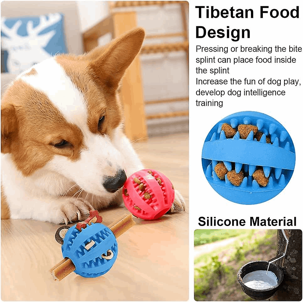 Dog Treat Toy Ball Dog Tooth Cleaning Toy Interactive Dog - lifestyle view