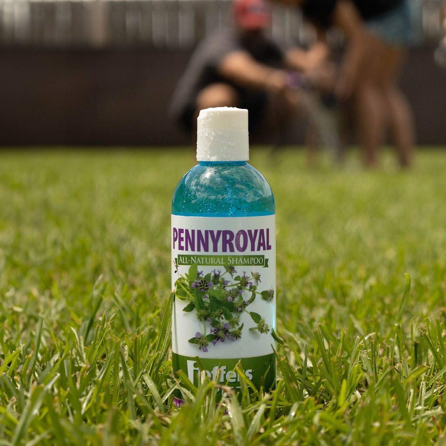 Natural Flea Tick Pennyroyal Dog Shampoo Aids In Pet - close up view