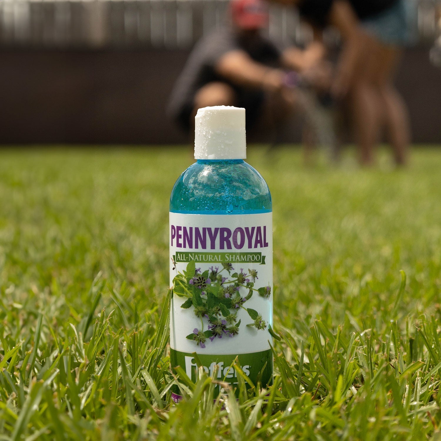 Natural Flea Tick Pennyroyal Dog Shampoo Aids In Pet - close up view