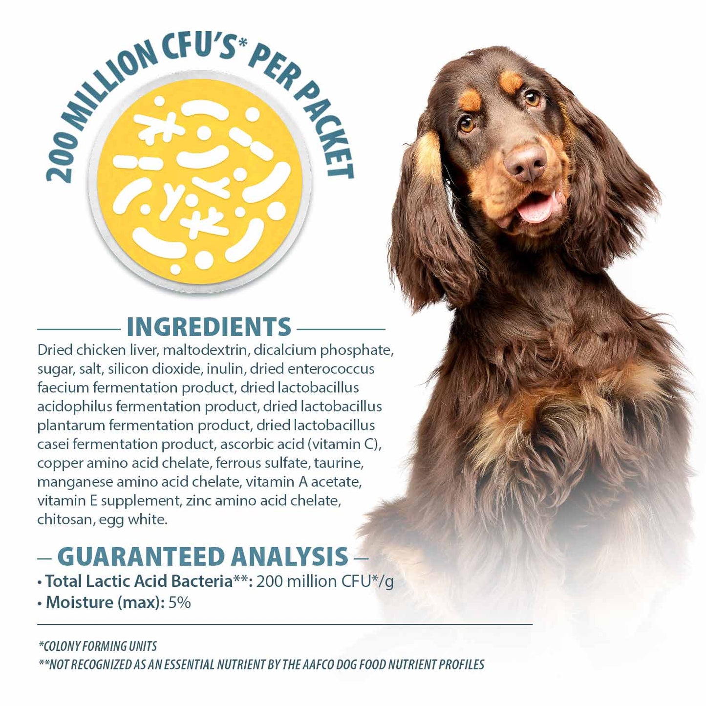 Pet Health Support Premium s Daily Care Supply Premium Pet - gallery image 9