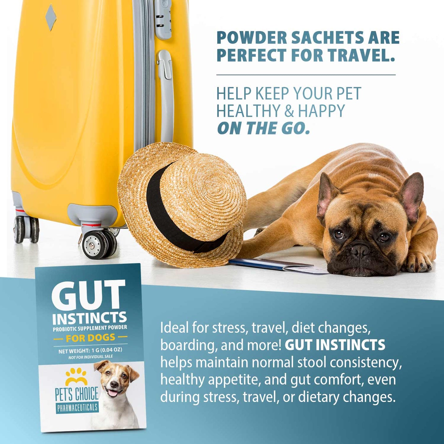 Pet Health Support Premium s Daily Care Supply Premium Pet - gallery image 5